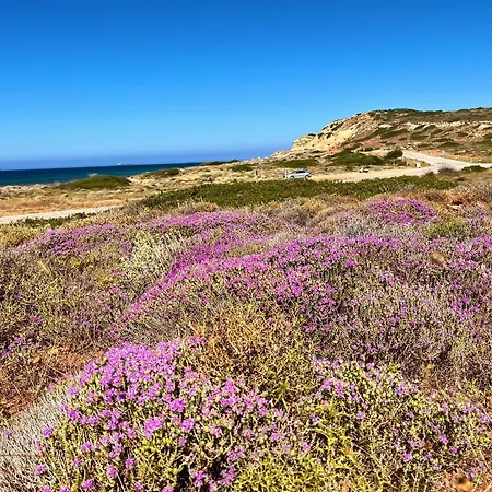 Kamelya Butik * Bozcaada