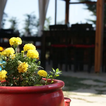 Kamelya Butik Hotel Bozcaada